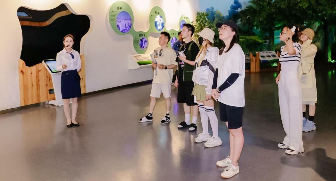 1685935611543477.jpg 2.jpg