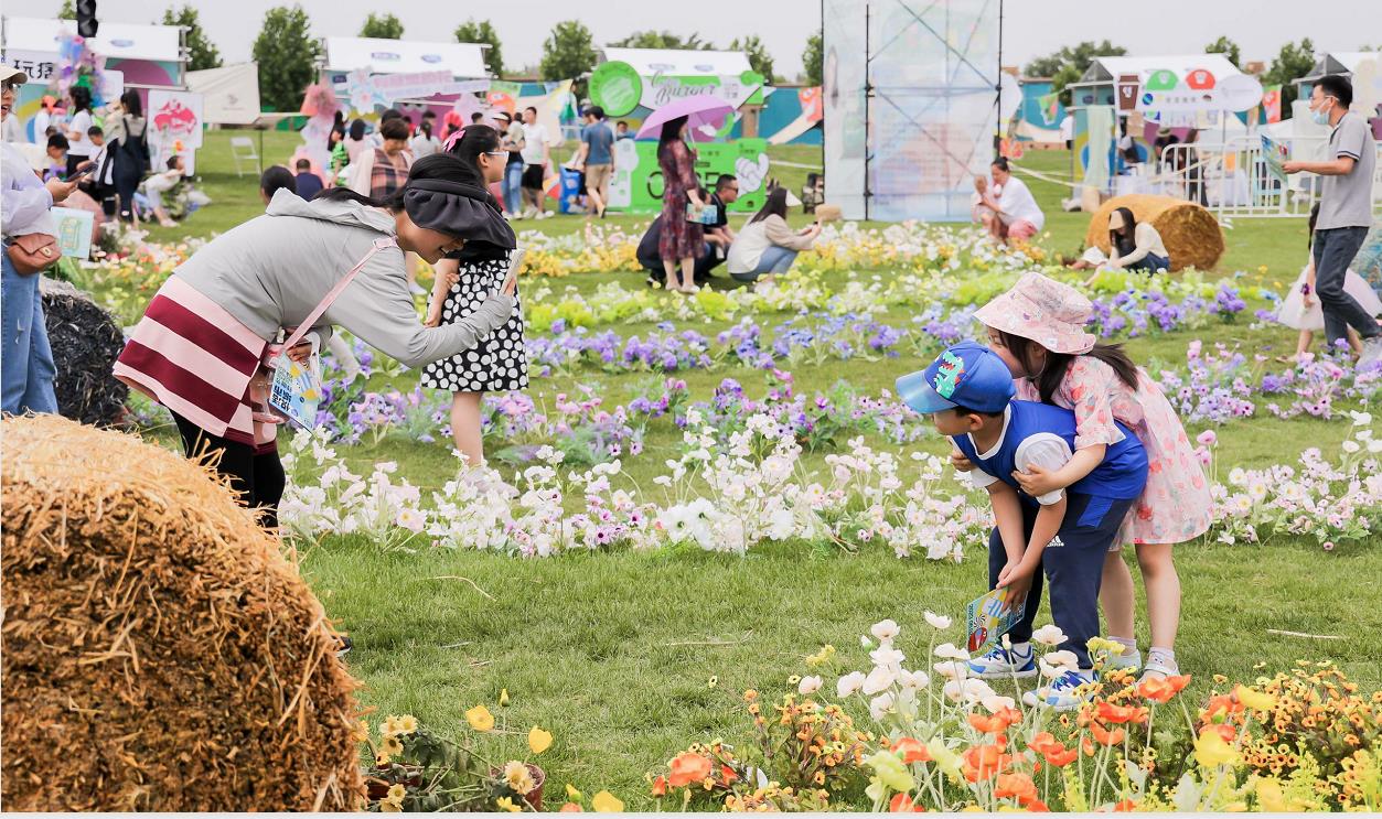 1685935657223221.jpg 5.jpg