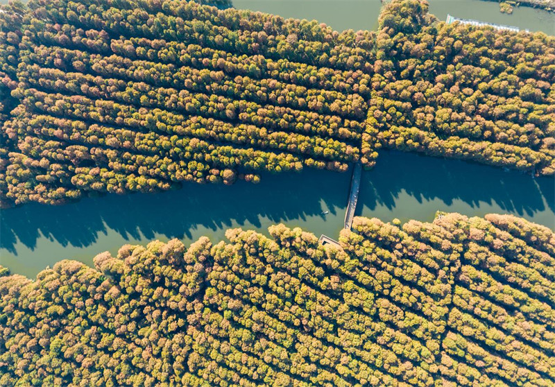 1702632113188792.jpg 圖片 1.jpg