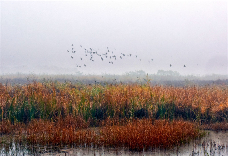 1702632120930463.jpg 圖片 2.jpg