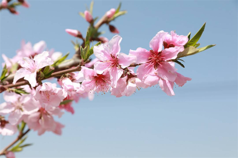 1711962601730686.jpg 圖片 1.jpg