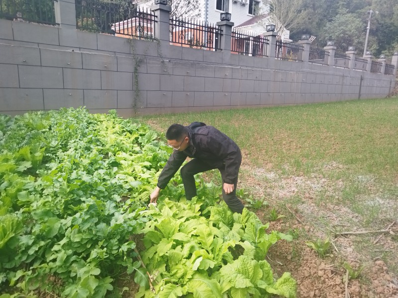 圖片2.jpg