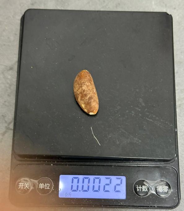 1757490285119554.jpg 圖片2.jpg