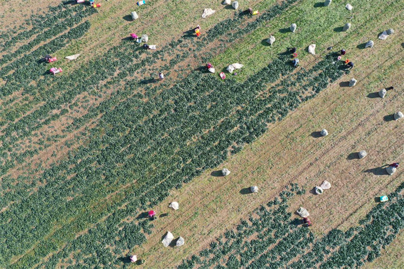 1766996932556754.jpg 圖片1.jpg