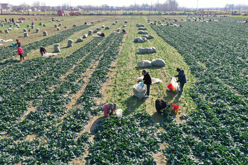 1766996946532801.jpg 圖片3.jpg