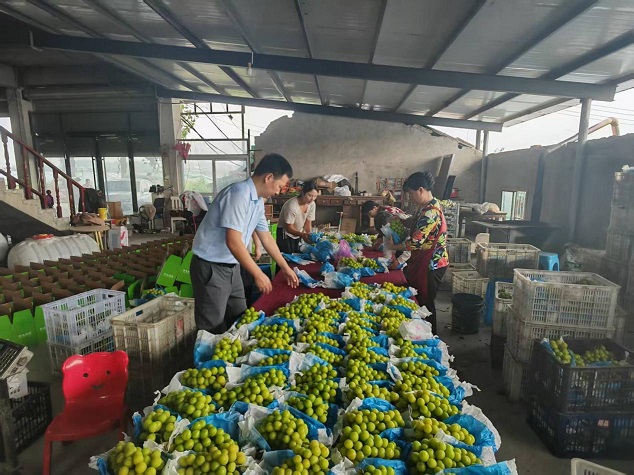 1768200346819176.jpg 圖片3.jpg