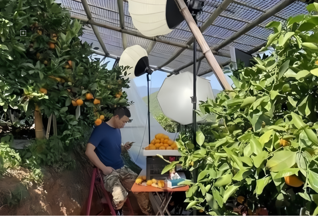 1768806483958493.png image.png