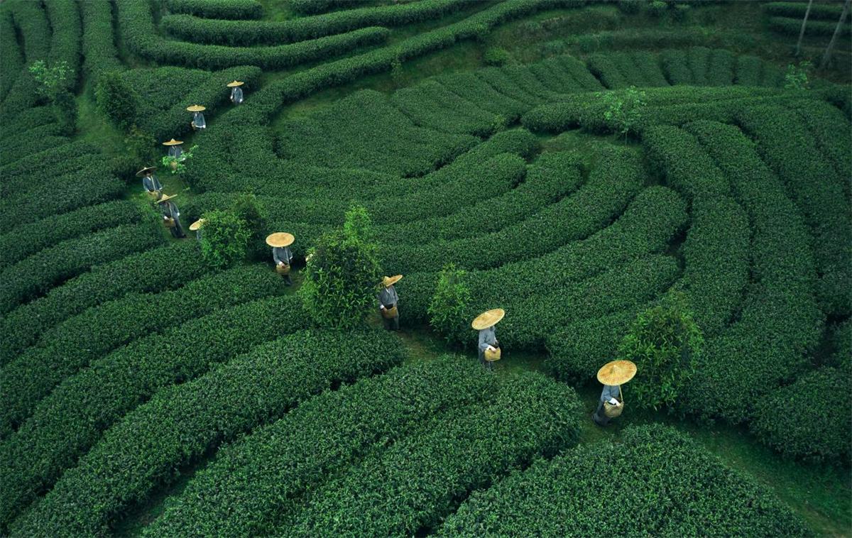 1773211852302714.jpeg image2.jpeg