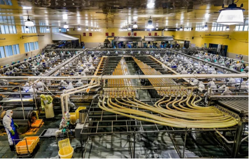 1766025073184859.png 1766025073184859.png