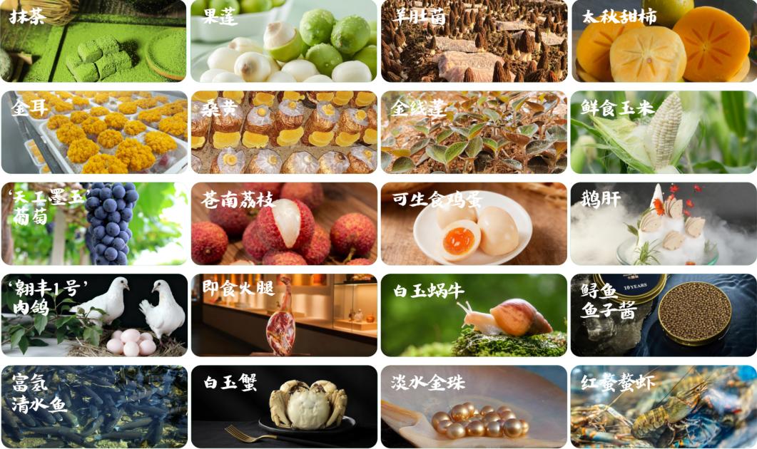 1770082764609854.jpg 1770082764609854.jpg