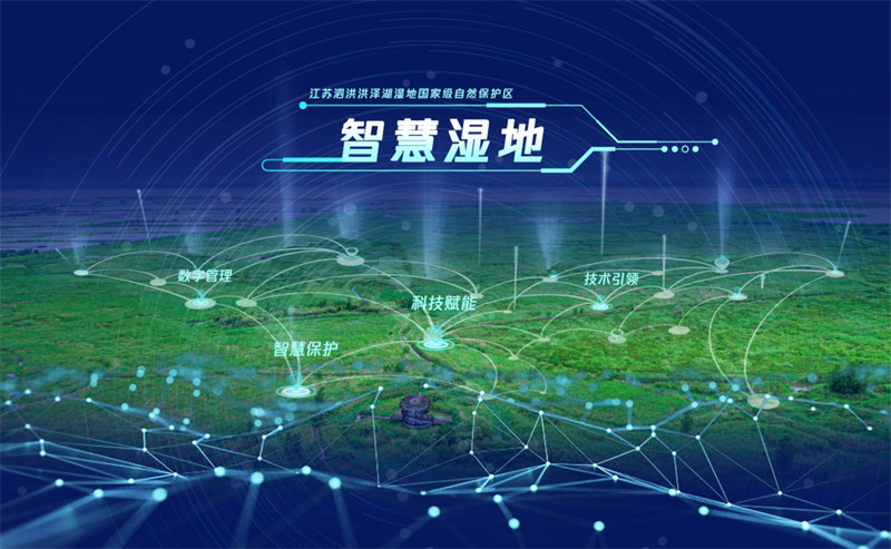 圖片 4.jpg