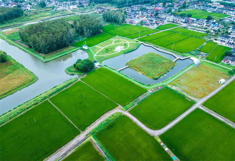 1699845454304047.jpg 圖片 3.jpg