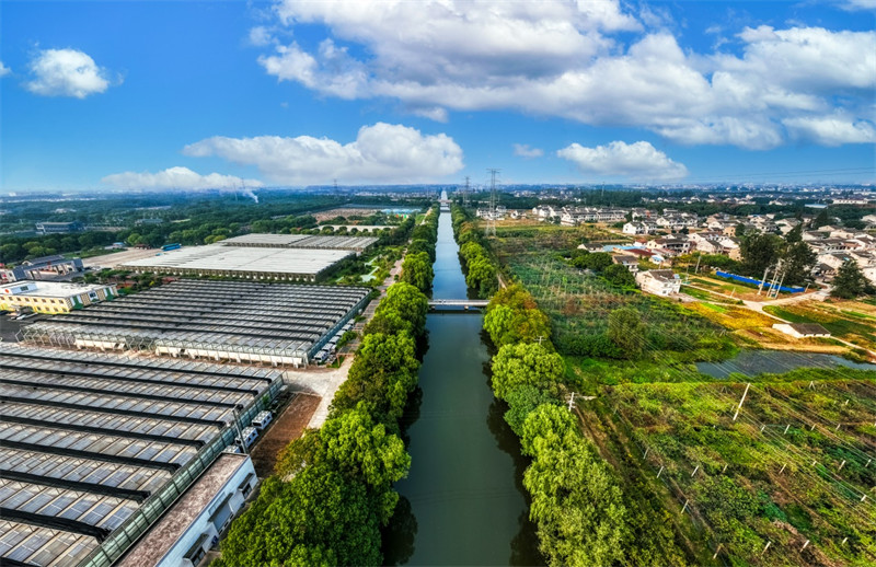 1699845460269878.jpg 圖片 4.jpg