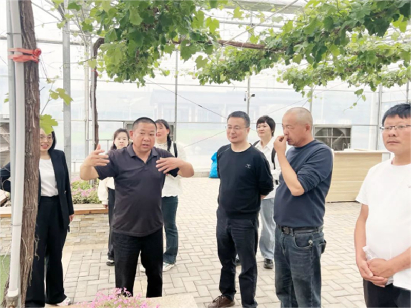 江陰市葡萄產(chǎn)業(yè)鏈聯(lián)合黨委赴多地“取經(jīng)” 助推葡萄產(chǎn)業(yè)高質(zhì)量發(fā)展1360.jpg