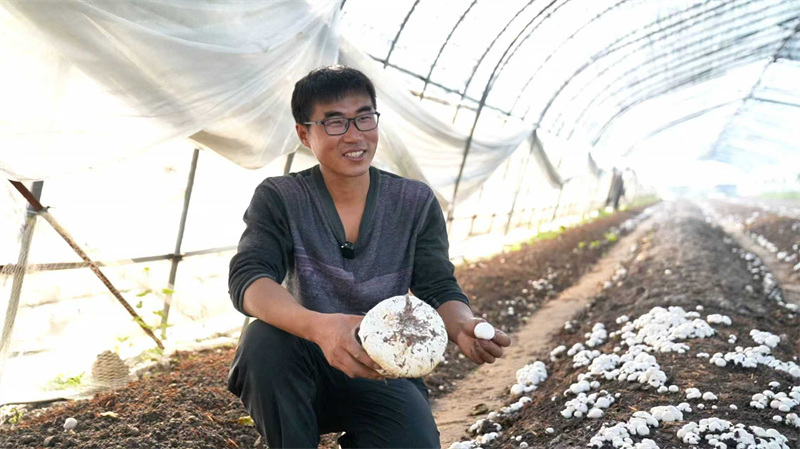 1765339641752245.jpg 圖片1.jpg