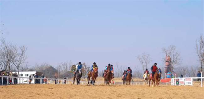 賽馬現場.jpg