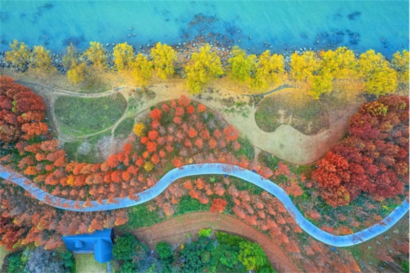 蘇州吳江東太湖春節檔開出滿堂紅181.jpg