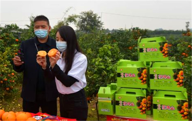 1636942959841867.jpg 圖片1.jpg