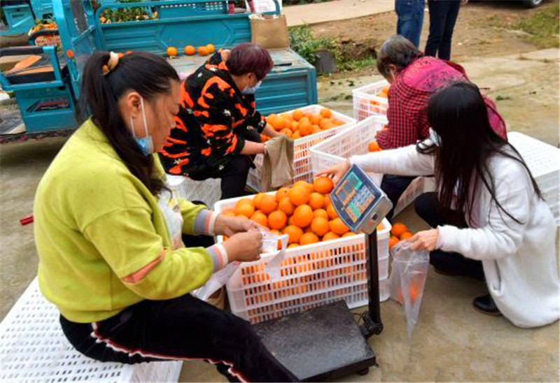 1636943031917284.jpg 圖片2.jpg