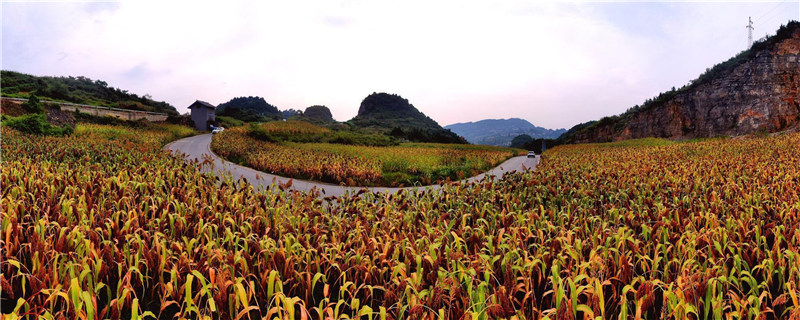 1638342541309981.jpg 圖片2.jpg