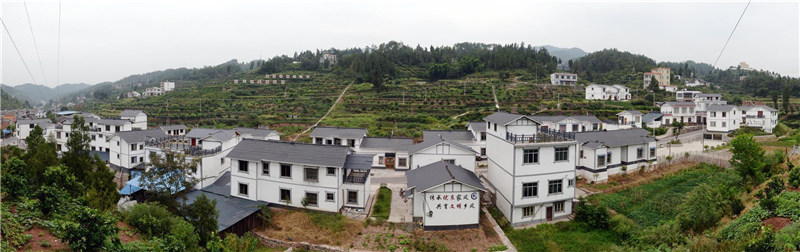 1638342567711653.jpg 圖片3.jpg