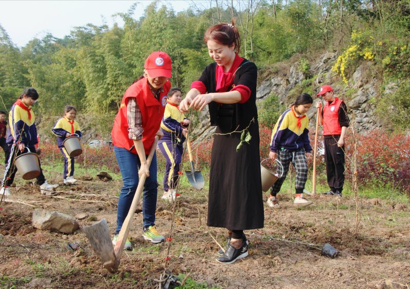 1678606726549620.jpg 圖片4.jpg