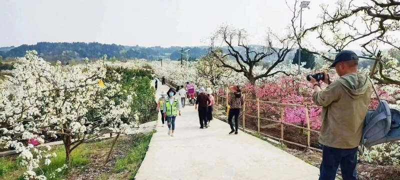 1678689003203520.jpg 微信圖片_202303131412171.jpg