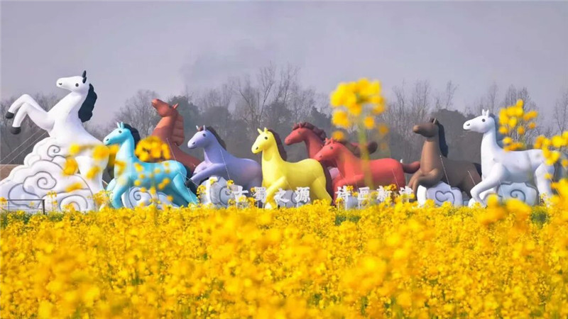 1770816271348588.jpg 2.jpg