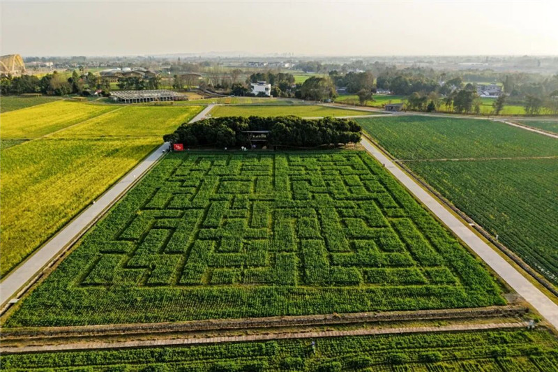 1770816278407277.jpg 3.jpg