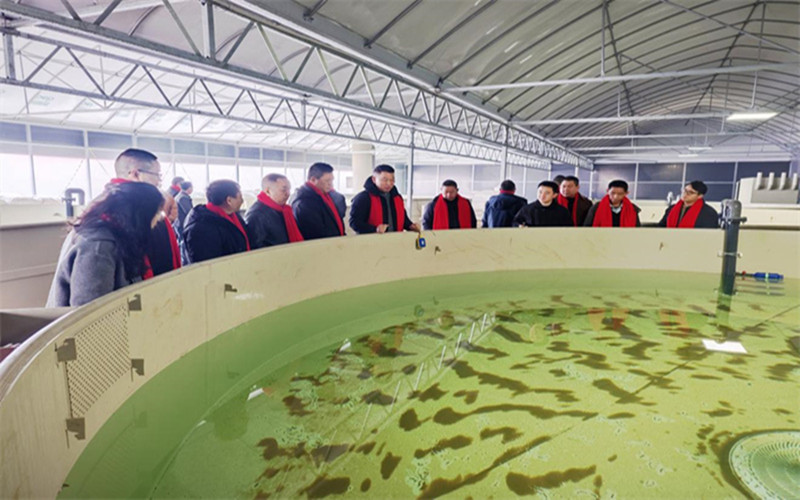 1770979792975257.jpg 圖片1.jpg