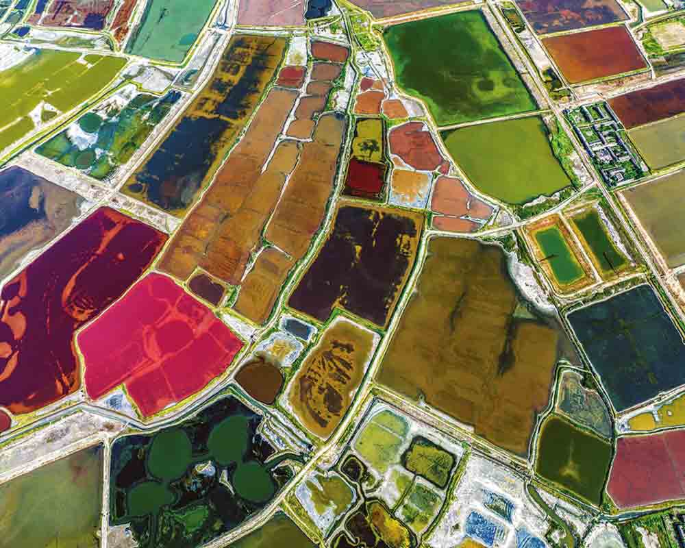 1692071538388085.jpg 1692071538388085.jpg