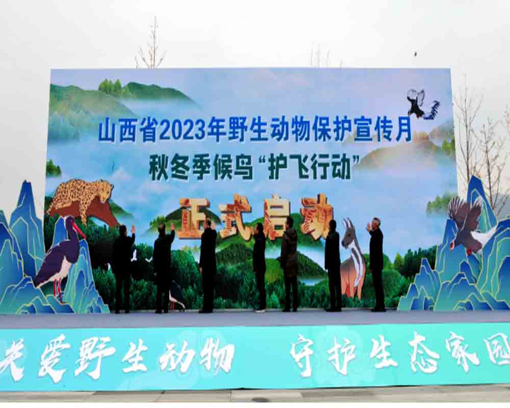 1699845933160456.jpg 0.jpg