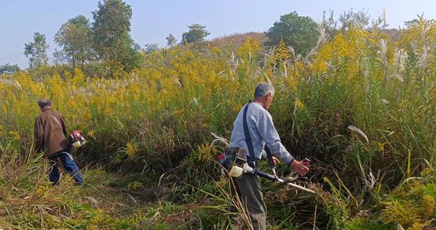 1698896164739790.jpg 微信截圖_20231102113042.jpg