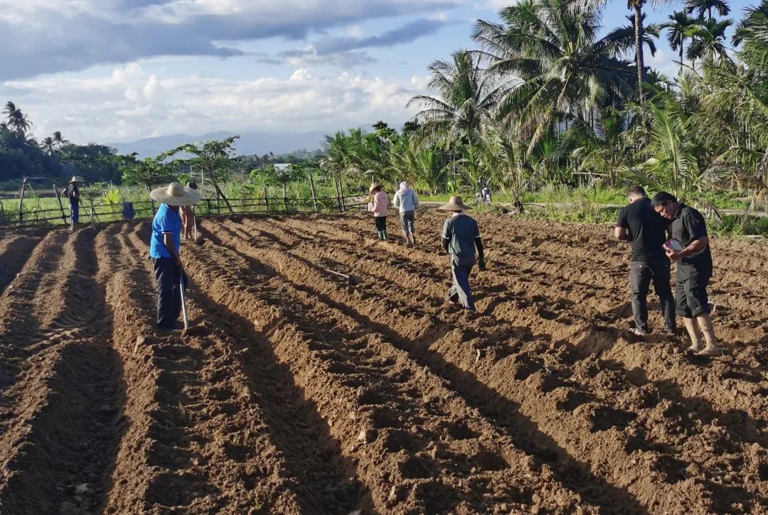 1699805530450621.jpg 1.jpg