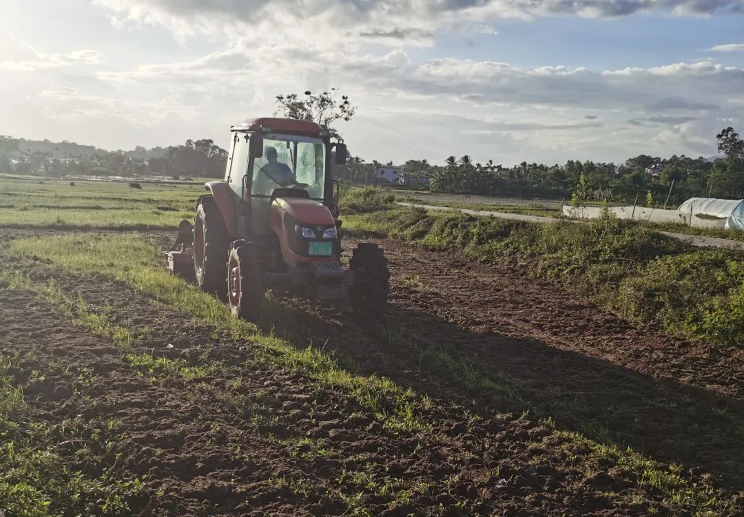 1699805537732919.jpg 2.jpg