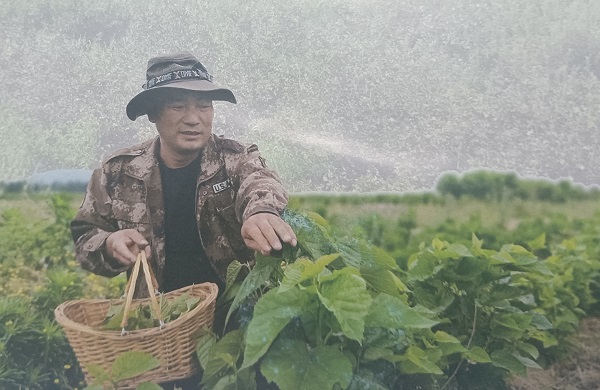 1646491100751218.jpg 葛洪偉1.jpg