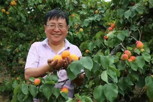 新陽圖片3.jpg