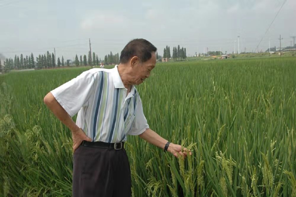 1649170180820056.jpg 1649170180820056.jpg