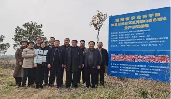 1649170299816154.png 玉5.png