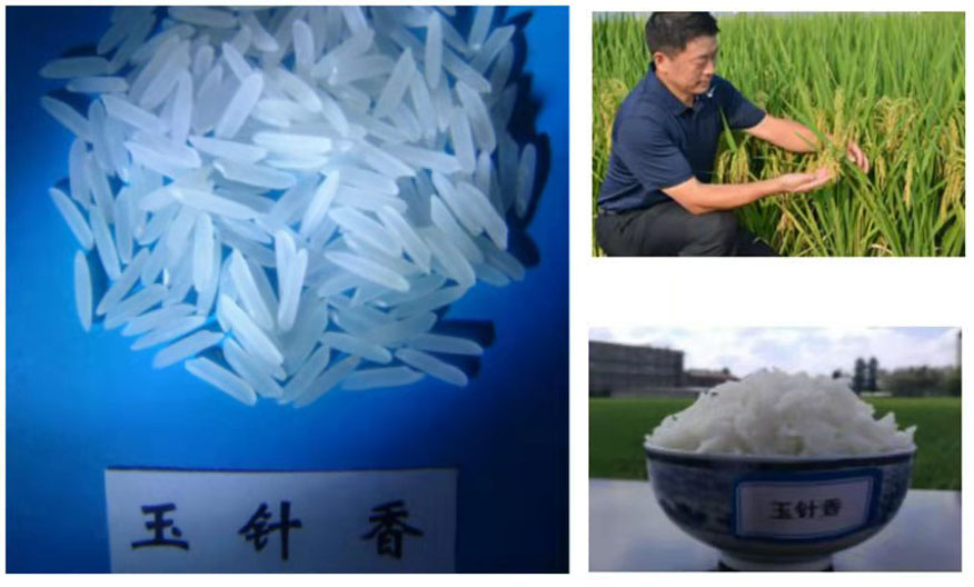 1649171609623643.jpg 666666666.jpg