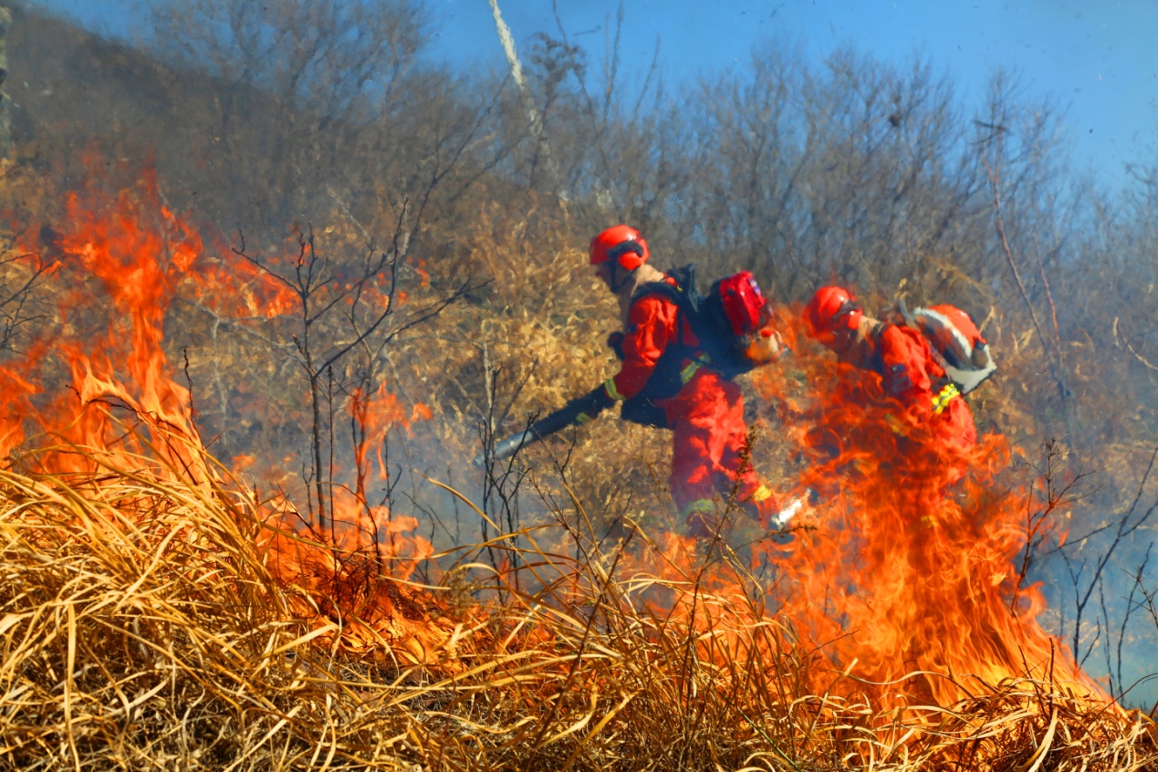 1712904489536928.jpg 1000118265.jpg