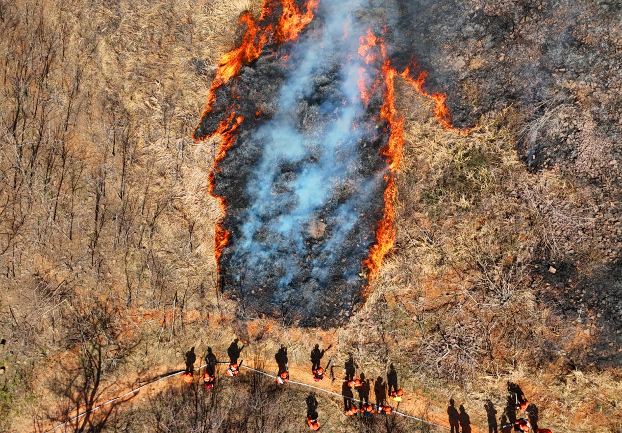 1712904507656052.jpg 1000118266.jpg