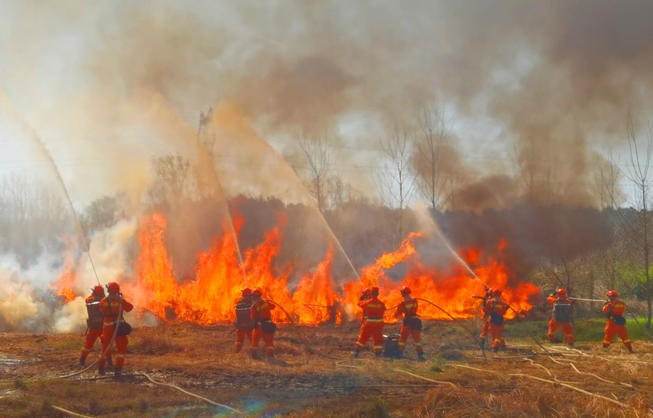 1712904542273682.jpg 1000118268.jpg