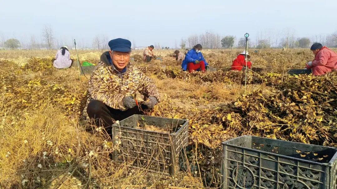 1765850354628796.jpg 640.jpg