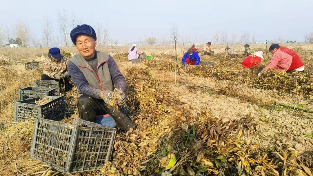 1765850377751229.jpg 640 (2).jpg