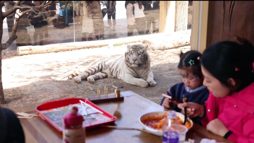 1771899950437466.jpg 圖片3.jpg