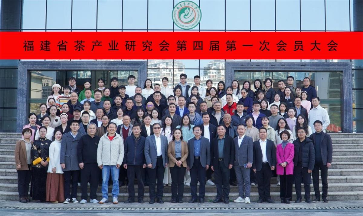 1739691257599843.jpg 1.jpg