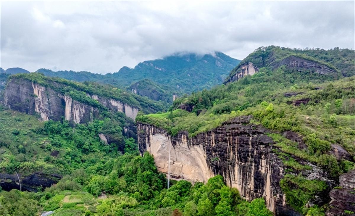 1772242465474782.jpeg image1_看圖王.jpeg