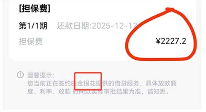 1768899695229161.jpg 2.jpg