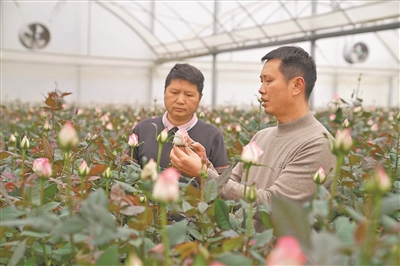 商品供應有保障 假日消費活力足